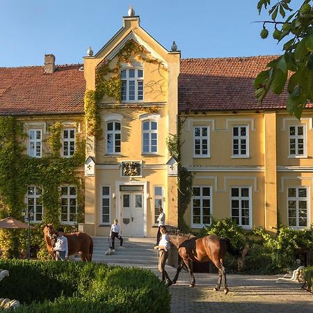 Ferienwohnung Mit Kamin Und Traumhafter Dachterrasse Mit Weitblick In Die Natur Neu Gaarz Экстерьер фото